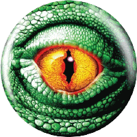 Lézard