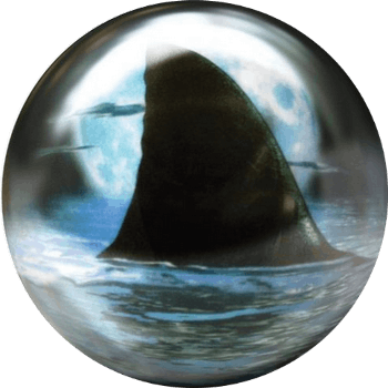 Shark (Requin)