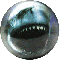 Shark (Requin)