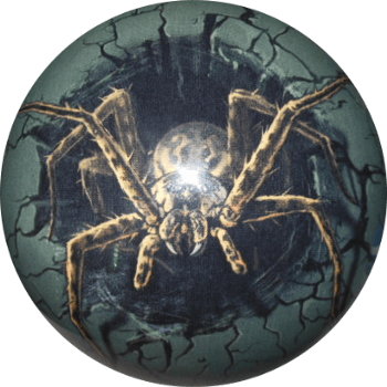 Spider (Araignée)