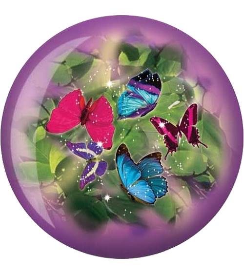 Butterfly (papillon)