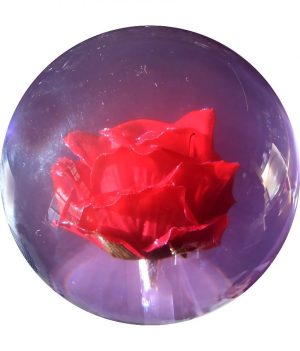 Rose Clear (Transparente)
