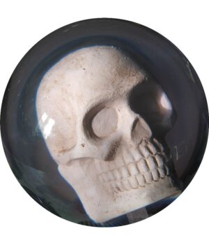 Tête de Mort (Transparente)
