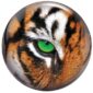Tigre