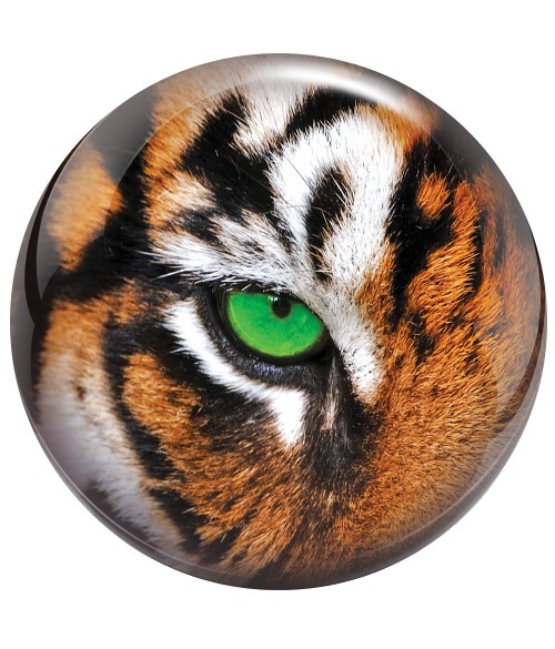 Tigre