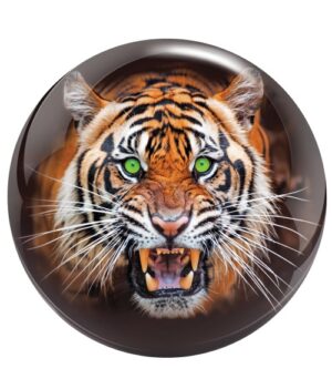 Tigre