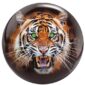 Tigre