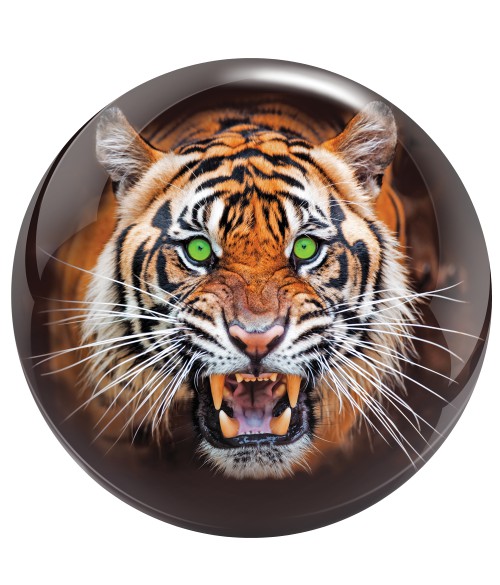 Tigre