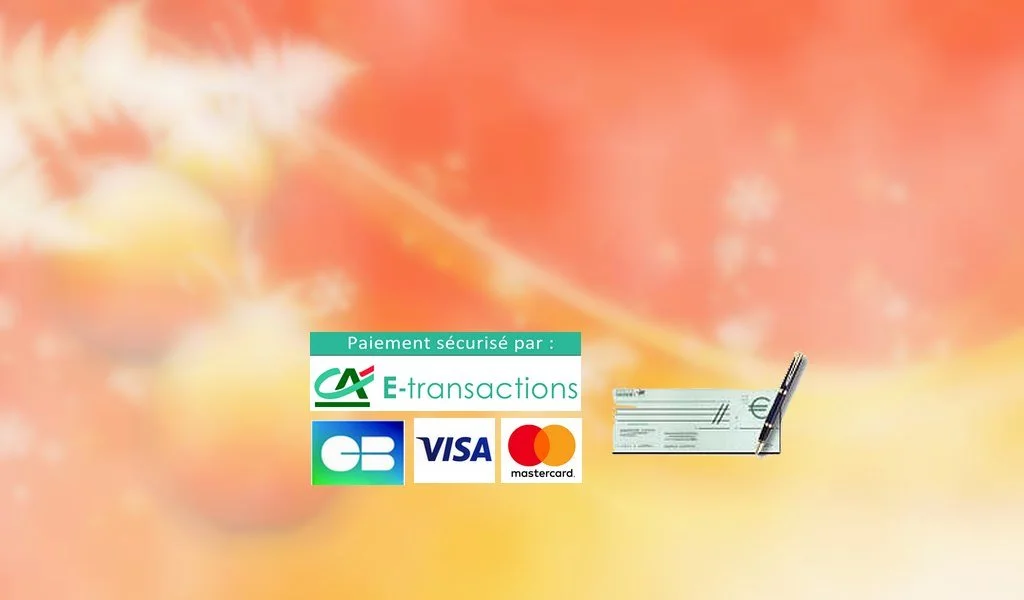 Home Paiement